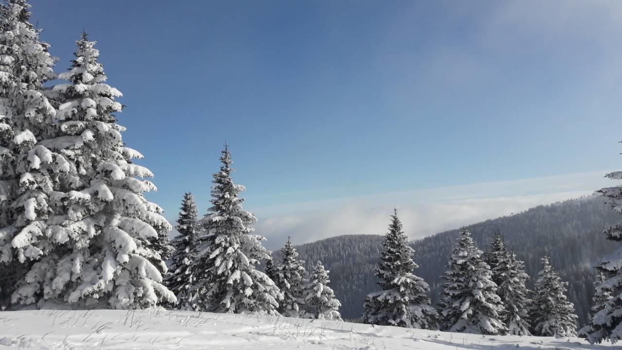 Lux Apartman B1 Milmari Kopaonik Exterior foto